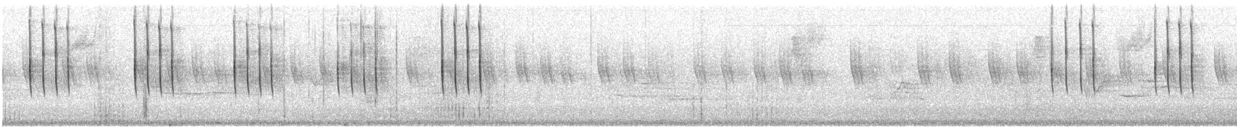 Colibri à oreilles blanches - ML534810571