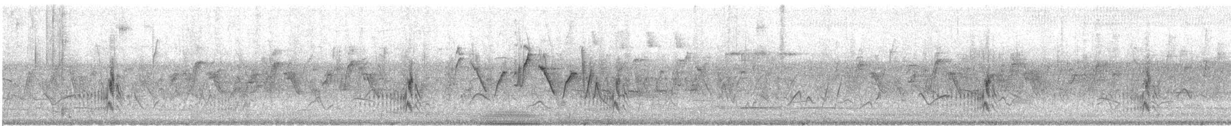 Fahlkehl-Schnäppertyrann - ML534811391