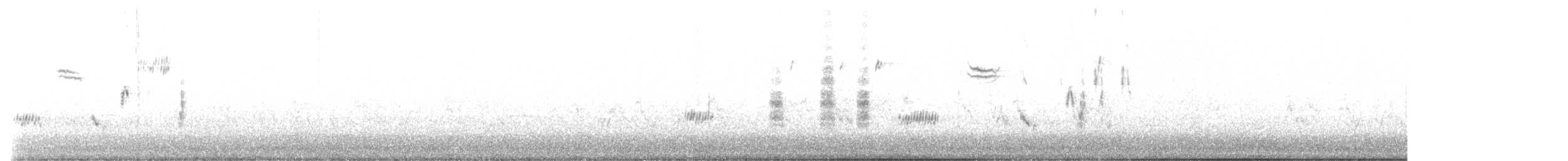 גיבתונית רוננת - ML534814841