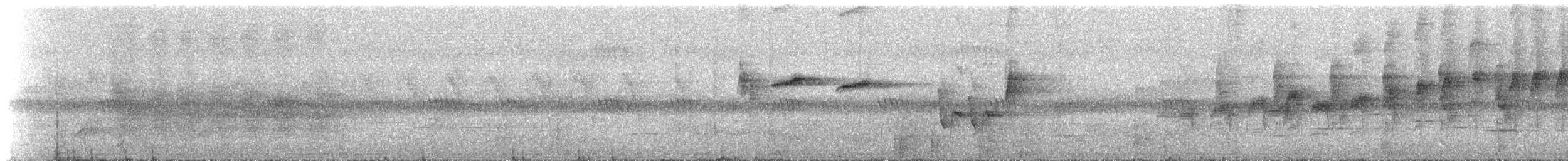 Ak Karınlı Tepeli Sinekkapan (albiventris) - ML534816
