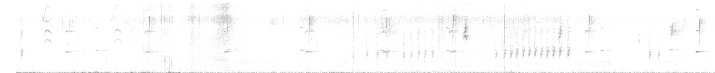 シロハラミソサザイ - ML534824011