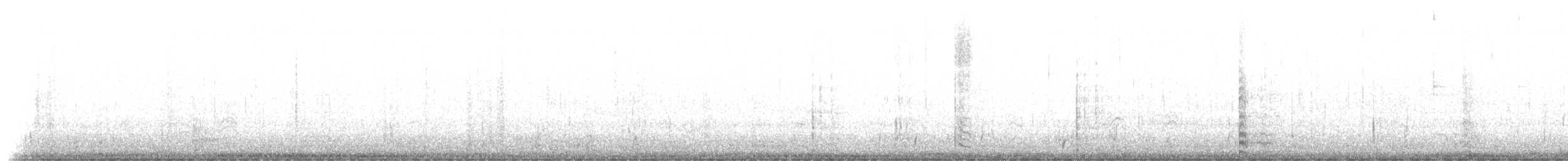 Indianerblässhuhn (rotschildig) - ML53484041