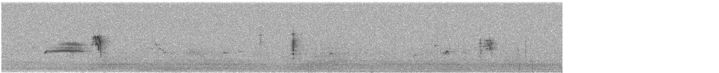 konipas luční (ssp. iberiae) - ML534876081