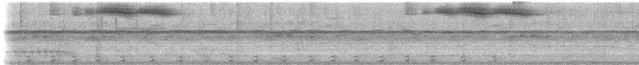 Boğmaklı Çalı Serçesi (taciturnus/nigrirostris) - ML534925641