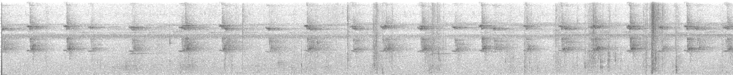 Светлобрюхий колибри-отшельник - ML534928351
