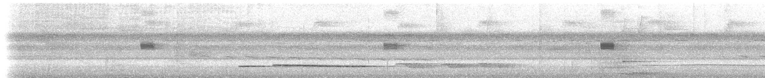 Kara Gerdanlı Karıncakuşu - ML534930171