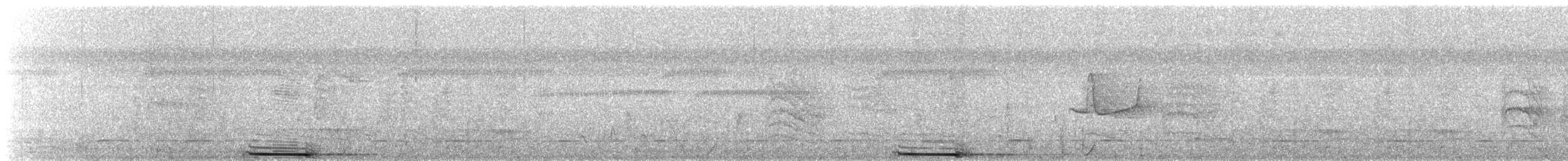 Song - Zigzag Heron