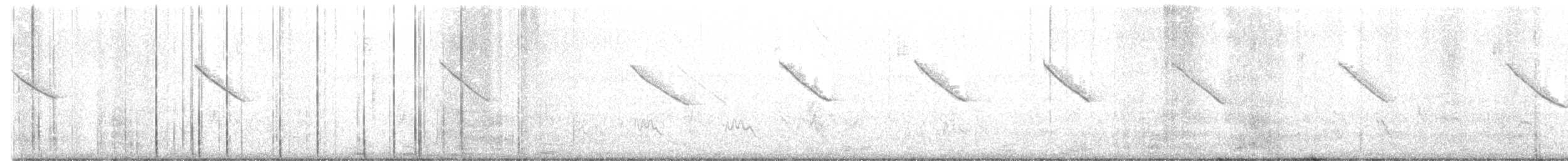 Pájaro Moscón Chino - ML535058841