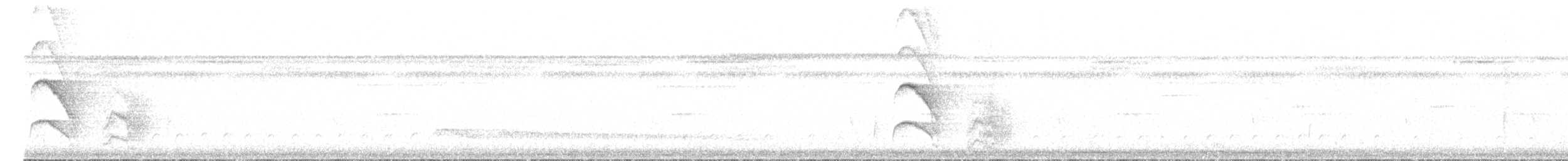 Мурав’янка сірочерева (підвид torquata) - ML535064581