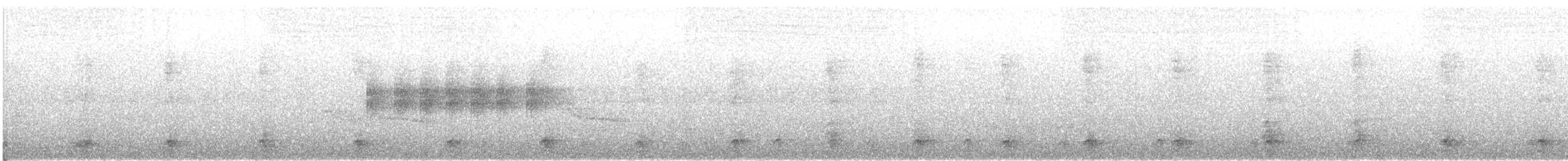 Weißkehlarassari (albivitta/phaeolaemus) - ML535080041