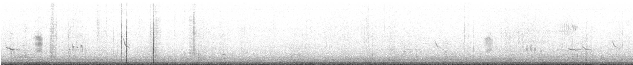 ベーリングユキホオジロ - ML53510771