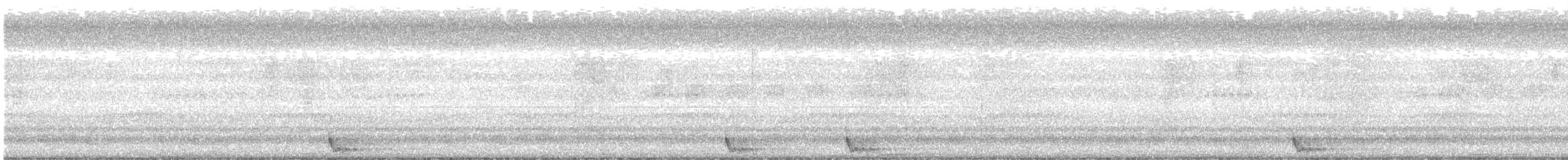 Large-tailed Nightjar - ML535110361