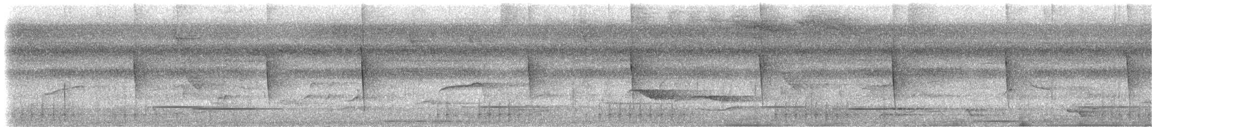 Campyloptère à ventre gris (obscurus) - ML535134941