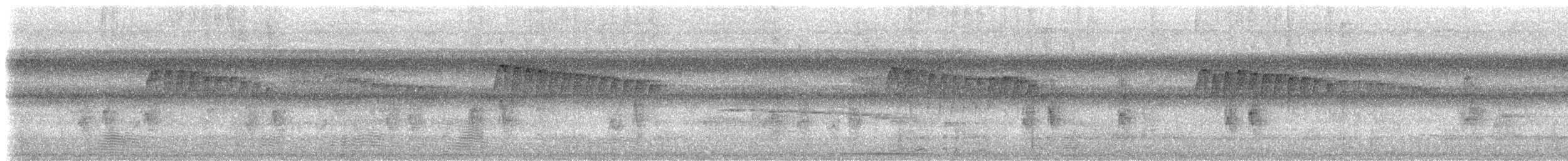 Ornate Stipplethroat (Western) - ML535135751