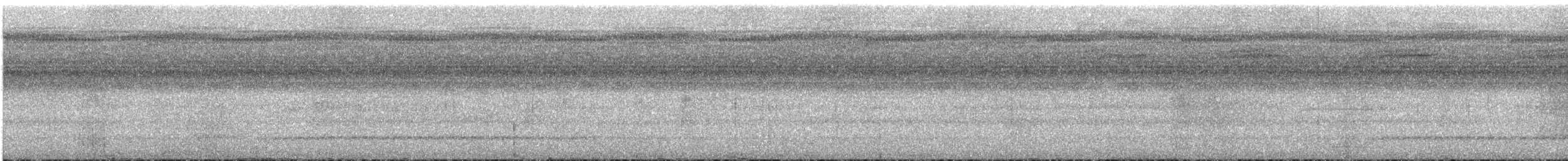 Лінивка-строкатка білошия - ML535166421