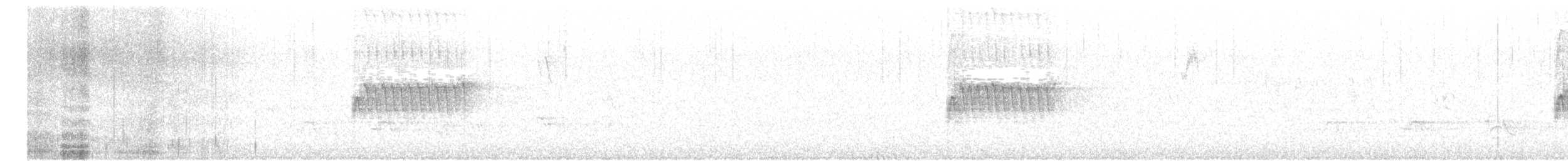 Тауї плямистий - ML53517861