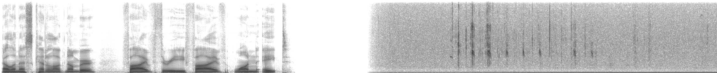 Common Hedgehog - ML53518