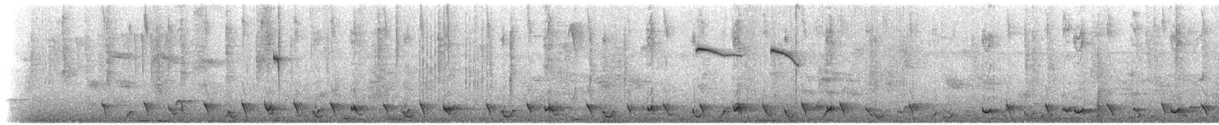 Troglodyte bicolore - ML535184421