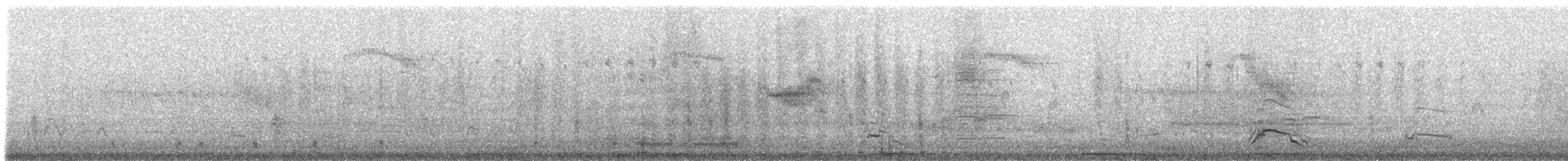 Common Merganser (North American) - ML53519041