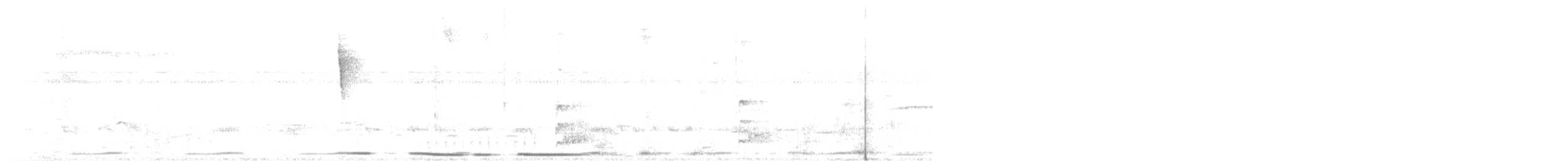 holub karibský - ML535191841