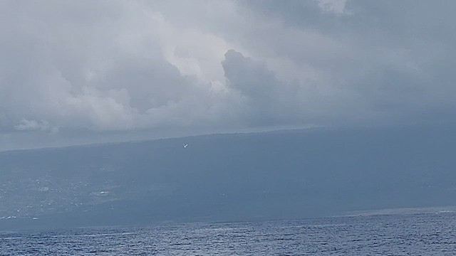 White-tailed Tropicbird (Pacific) - ML535213761