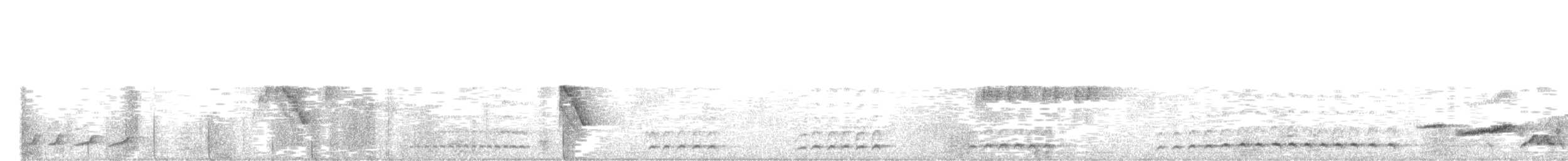 Beyaz Belli Şama - ML535235501
