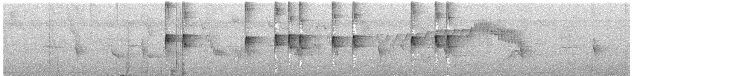 Gelbzügel-Todityrann - ML535238811