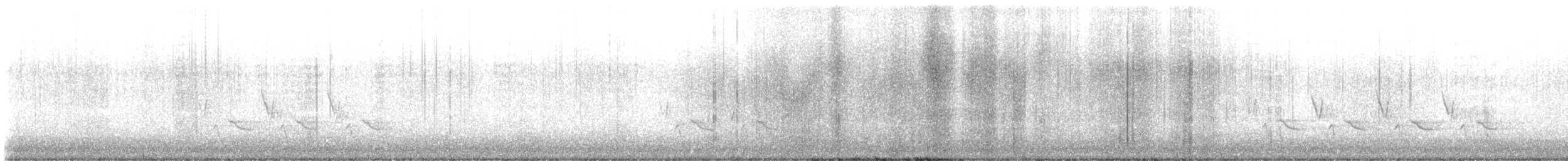 Karolina Çıtkuşu - ML535240001