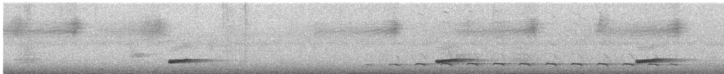 Tinamou tataupa - ML535241121