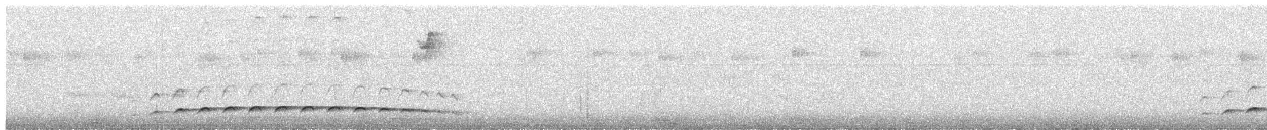 Fleckenbrust-Ameisenvogel - ML535241241