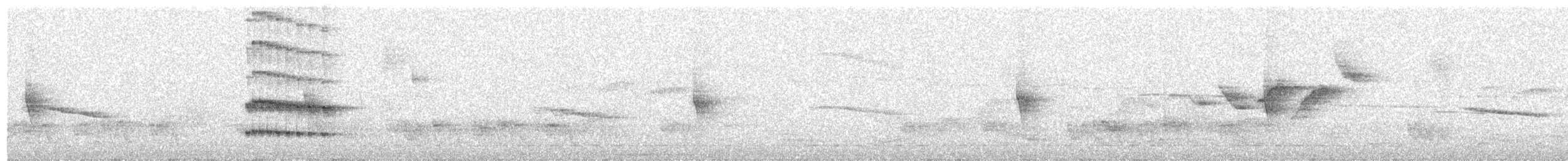Gözlüklü Todi Tiranı - ML535244551