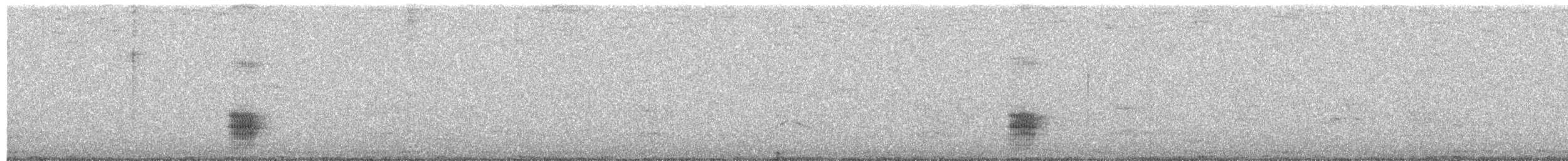 Black-tailed Tityra - ML535244871