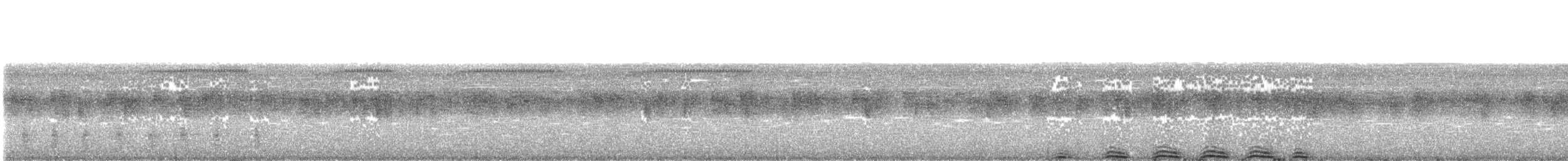 Chouette mouchetée - ML535246821