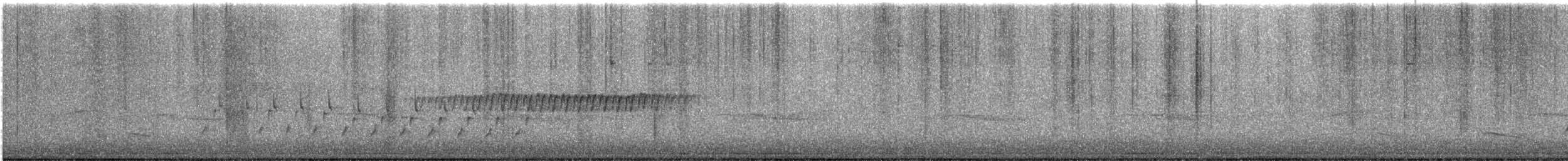 Pine Warbler - ML535252071