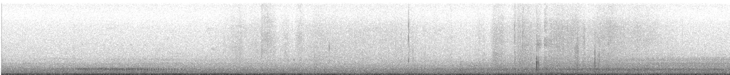 morčák chocholatý - ML535274091
