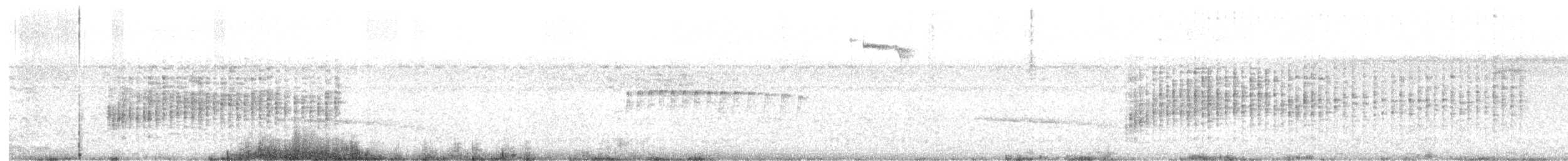 シマバラマユミソサザイ - ML535326361