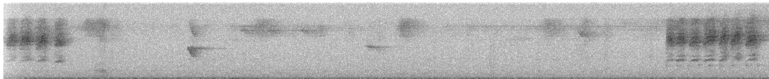 Large-billed Scrubwren - ML535336521