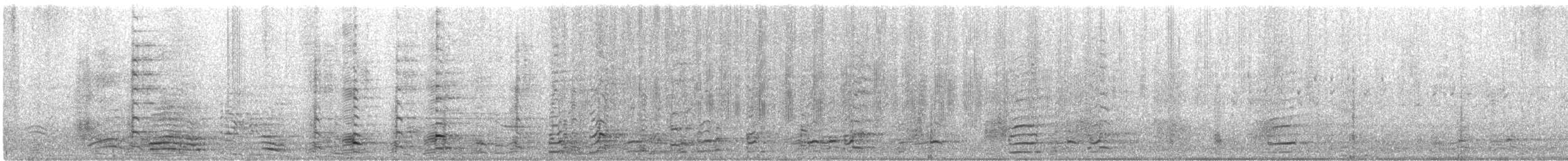 Zwergkanadagans (taverneri) - ML535347841