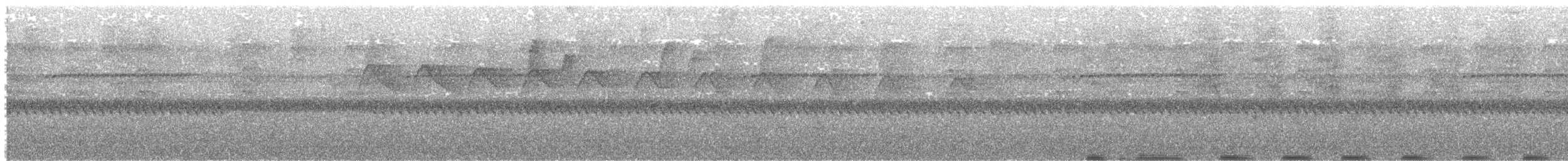 Тиран-крихітка білолобий - ML535402231