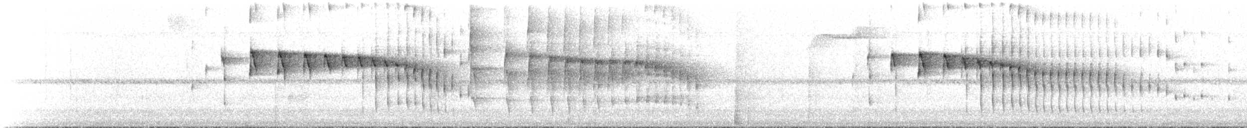 Santa Marta Bromelid Dikenkuyruğu - ML535440861