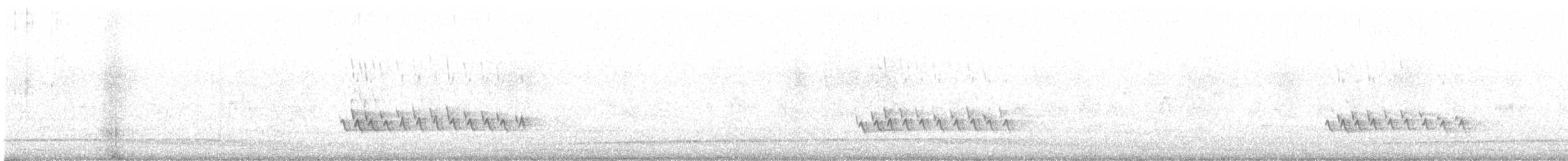 American Robin - ML535455491