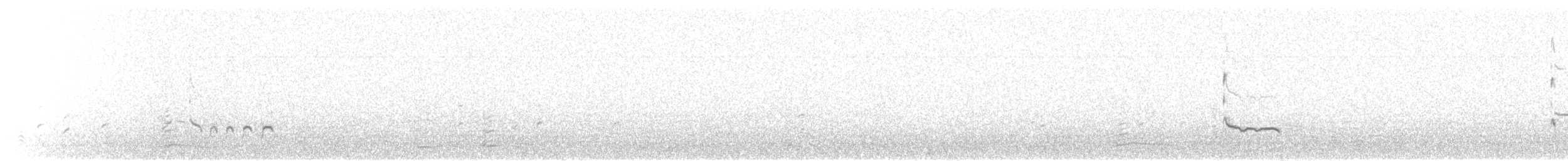 Common Redshank - ML535466501