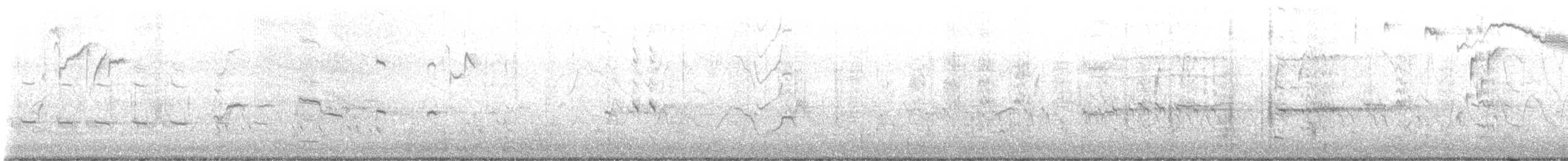 brunhodetrupial - ML535496931