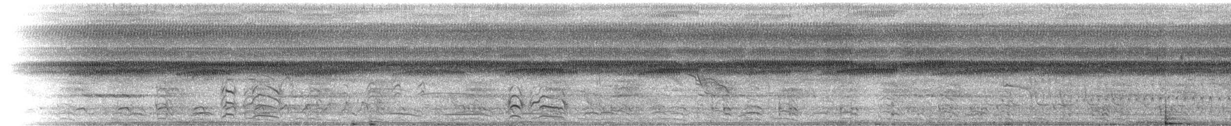Large-billed Tern - ML535504851