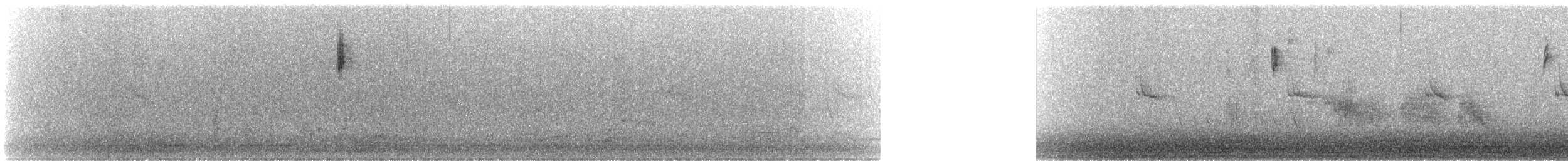 svarthetteparula - ML535555851