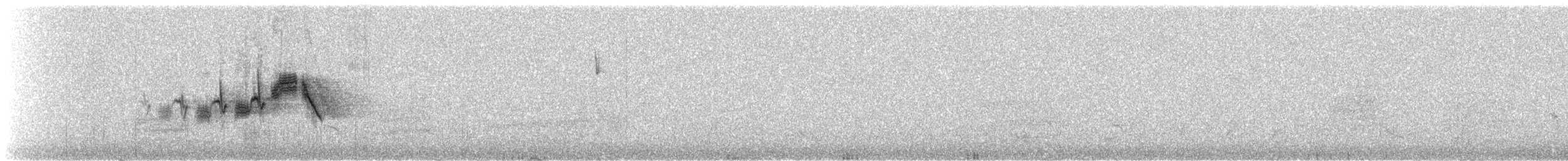 Paruline grise - ML535559771