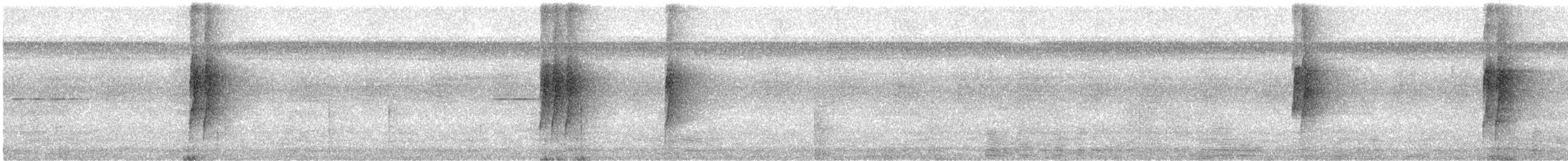 Gri Karınlı Karıncakuşu - ML535616141