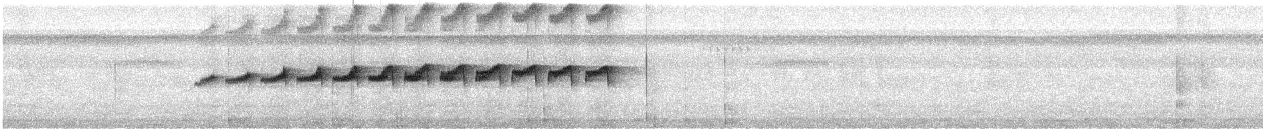 Tüpfelwangen-Ameisenvogel - ML535616161