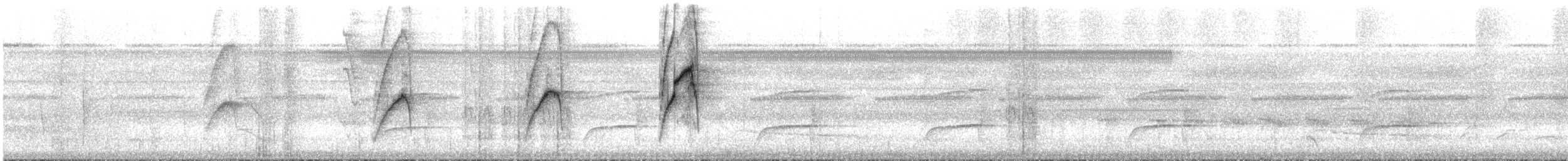 Orange-eyed Flatbill - ML535658741