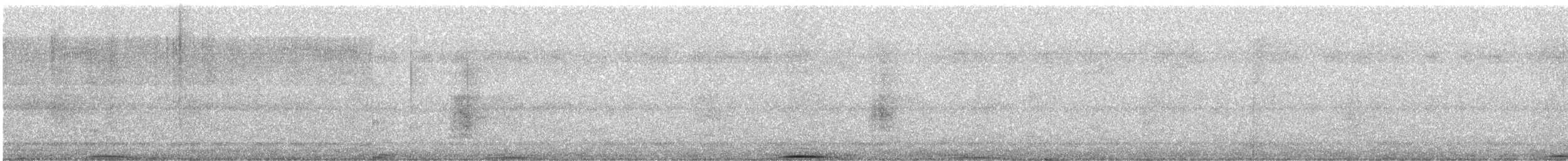 holub běloprsý - ML535686091